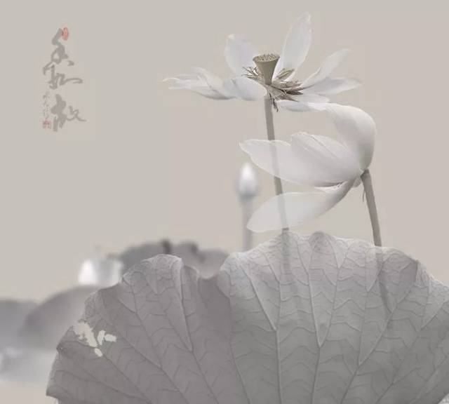 【深度美文】心静是一种美