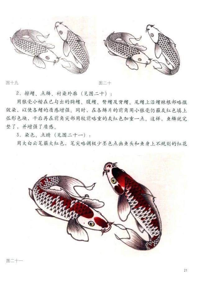 鱼法秘诀:工笔长尾锦鲤画法图解,工笔鱼的画法步骤及欣赏!