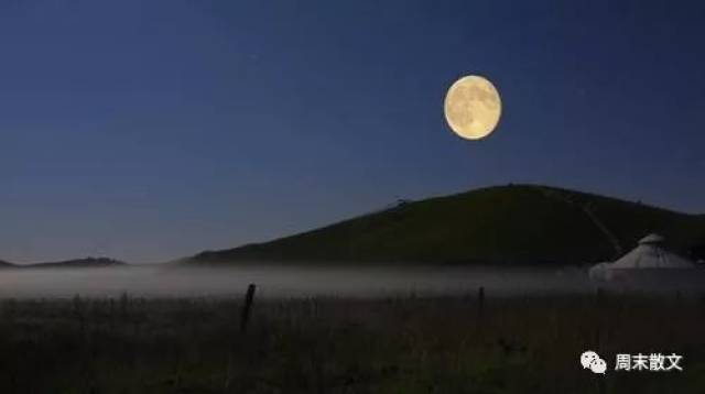 周末散文第158期:今夜草原有雨