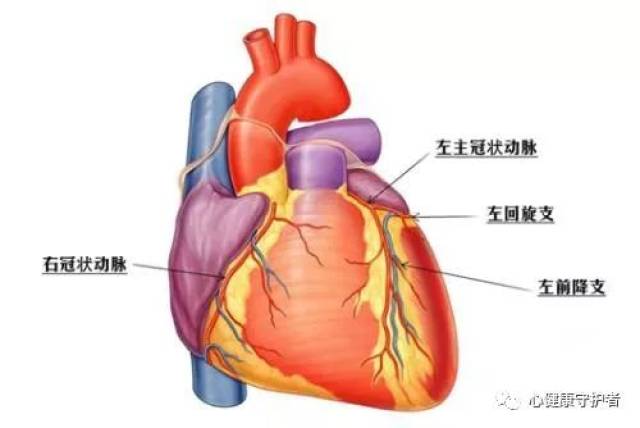 认识急性心肌梗死