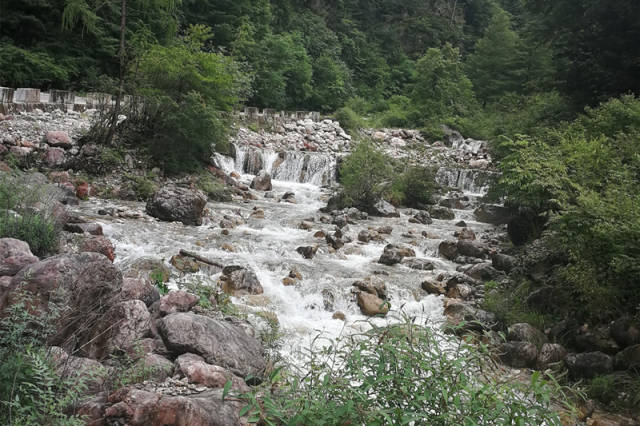 宕昌鹅嫚沟这里叫大河坝森林公园 难道真是大河坝? 崔皓景/摄