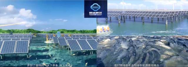 沈建忠:提升服务质量 共建美好生活