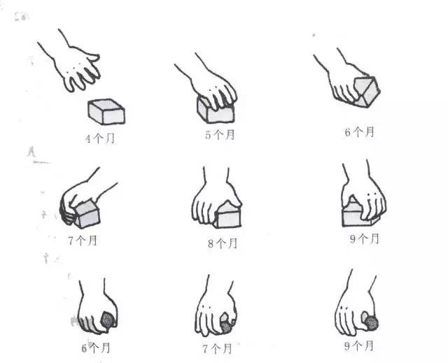 史上最全的0~3岁宝宝手部精细动作训练!爸妈必备小知识!