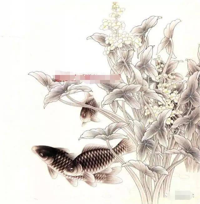 画鱼的方法视频 4719215aced749cbb70b8a7580c009d9.jpeg