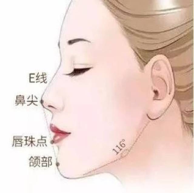 请看神仙姐姐刘亦菲的侧颜:侧面轮廓立体分明,e线从鼻尖到颏部,当之无