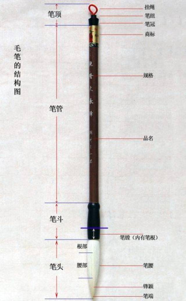 「涨姿势」毛笔的构造及图解