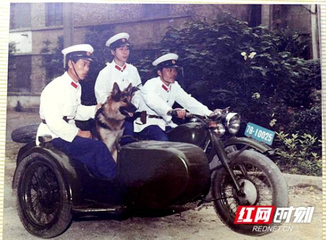 80年代,湘潭市公安局警用偏三轮摩托车.(此图片来源湘潭市档案馆)