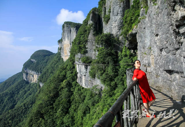 重庆哪里看世界杯,主城太热就去绿水青山的金佛山轻轻松松度假吧