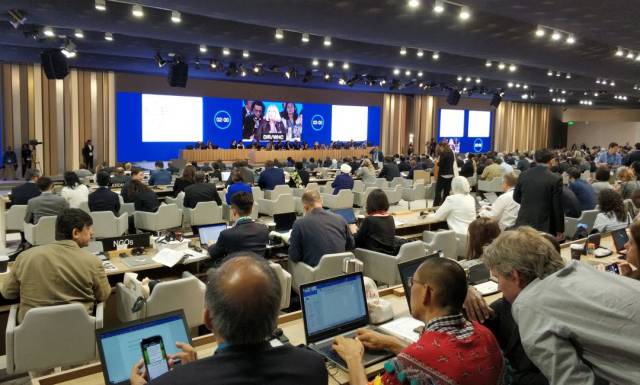 集团资讯丨泉州申遗,正式进入美好时间!