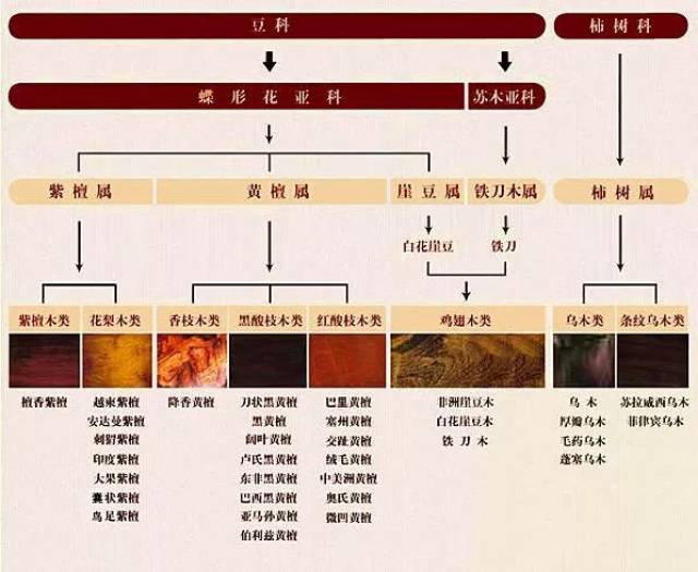 2000年《红木》老国标5属8类33种延伸图(已停用)