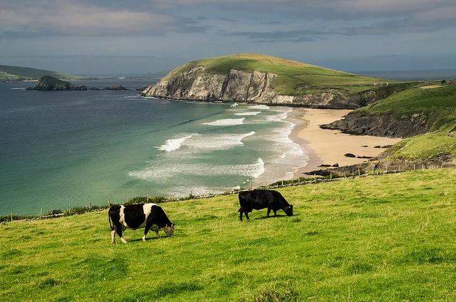 邓莫尔角(dunmore head)坐落在丁格尔半岛西侧,是爱尔兰 (而非