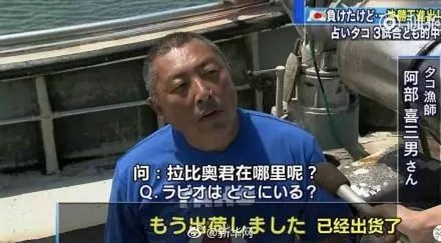 日本"章鱼哥"成功预测三场比赛,但是最后被煮熟了.