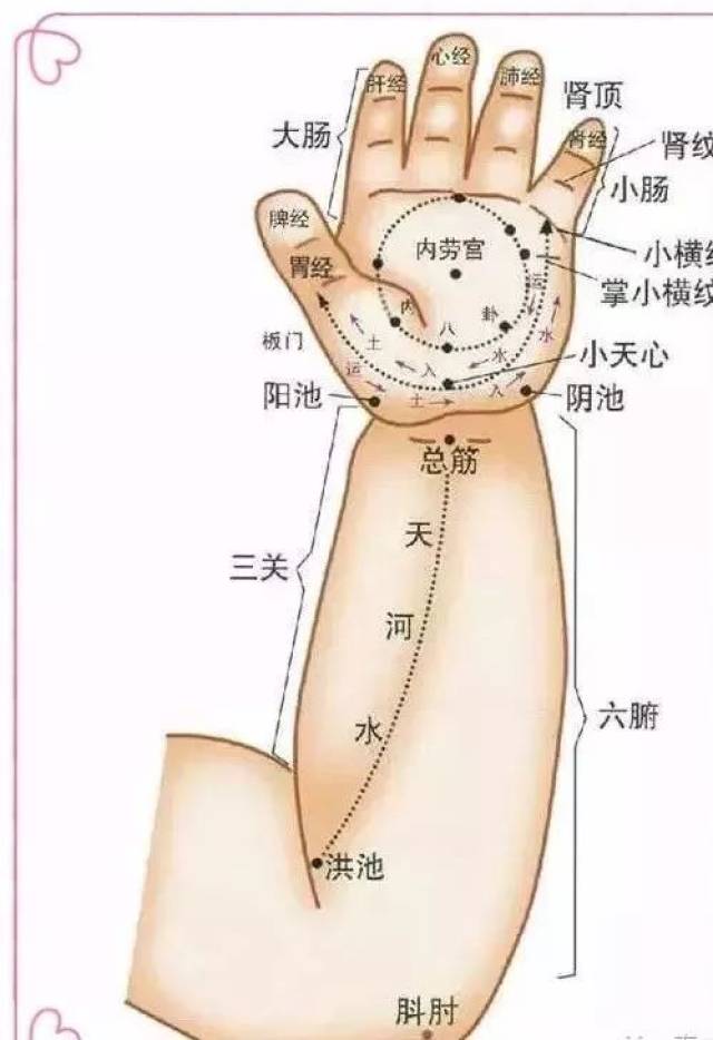 处方:补脾经300次,摩囟门100次,分推八道50次,揉手足心各50次. 3.