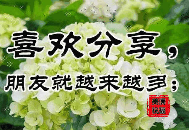 496_340gif 动态图 动图