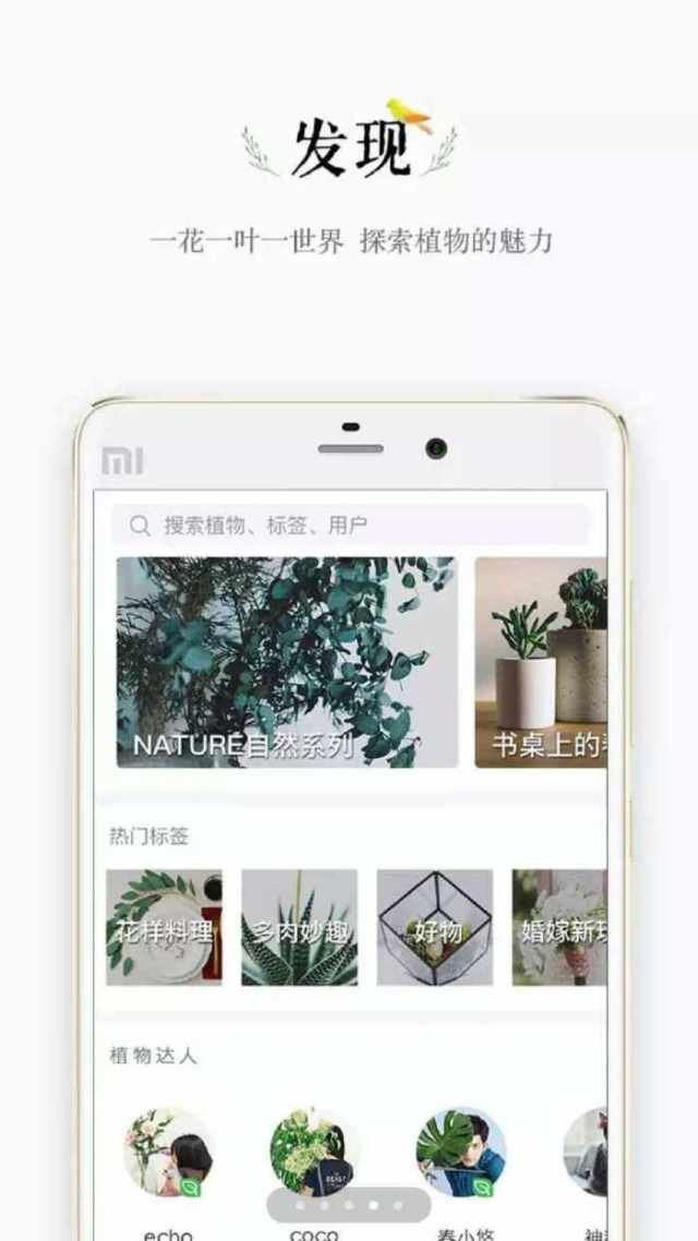 用手机识别花卉? 几款美得让人心醉的植物app推荐!