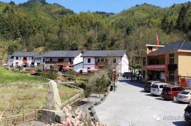 脱了贫的井冈山,如今已是企业、电商生根发芽的沃土