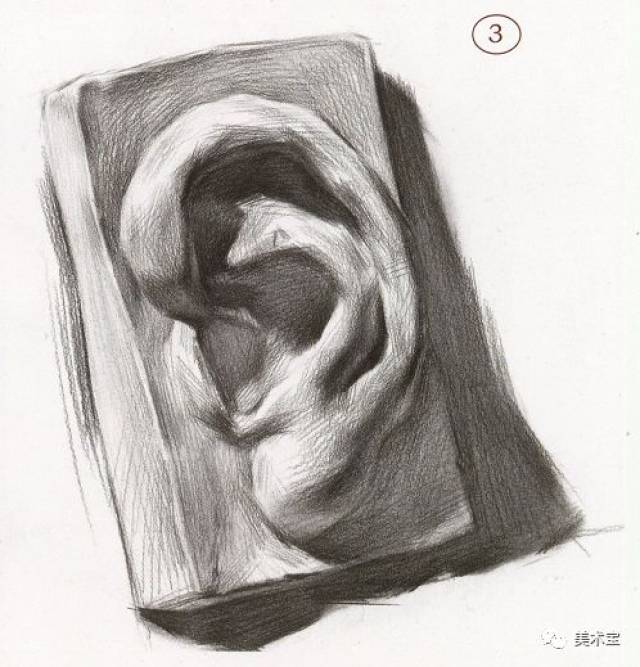 素描石膏头像|耳朵剖析