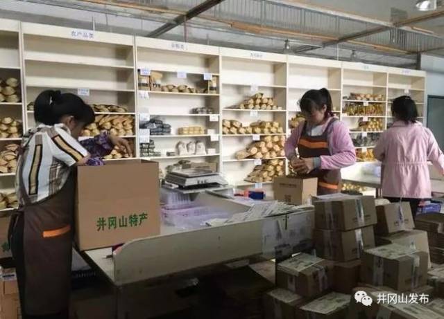 脱了贫的井冈山,如今已是企业、电商生根发芽的沃土