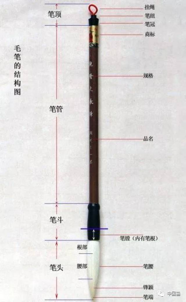 「涨姿势」毛笔的构造及图解