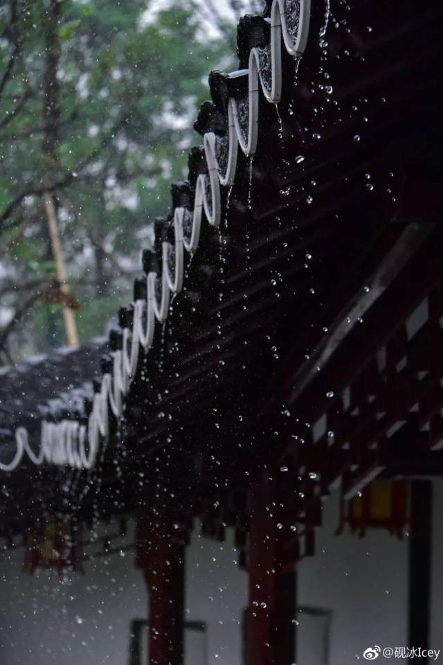 在下雨天,到香雪海园信步,满眼望去,真有江南的风韵.