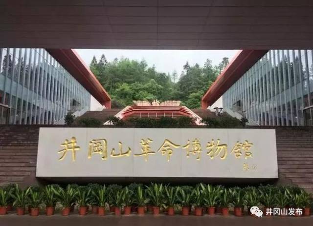 脱了贫的井冈山,如今已是企业、电商生根发芽的沃土