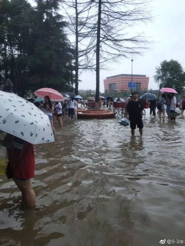 成都暴雨搞笑合集来了!