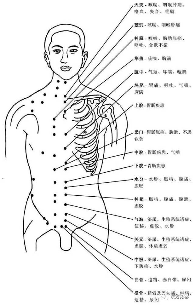 全身穴位治疗口诀,配图精华版(补图),想学经络穴位的来看看