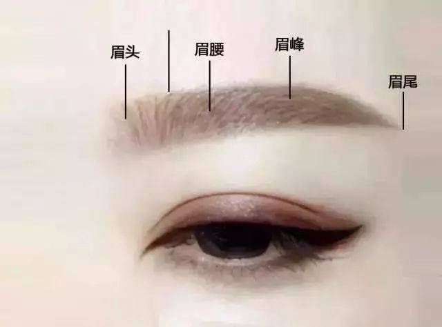 按照这四个步骤,由于做到了眉头,眉腰,眉峰和眉尾对称,所以设计出的眉