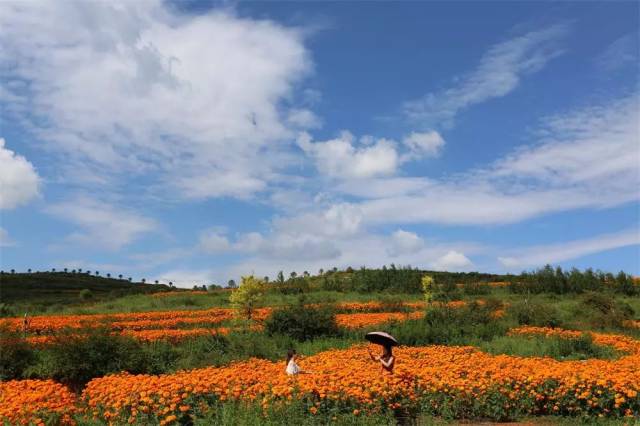 曲靖富源多乐原风景区——花海,溶洞