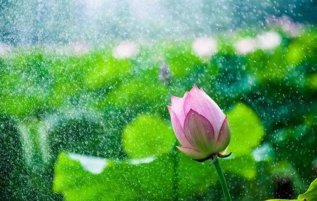 来三清山听场雨,养养浪漫的心境