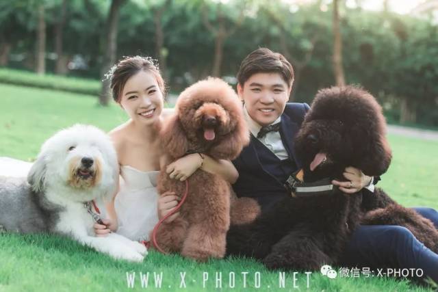 动物婚纱照_婚纱照图片室内