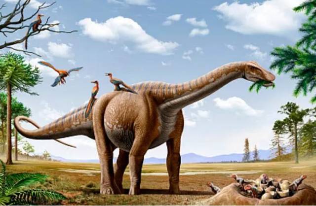 【说闻解事】侏罗纪已过去亿万年,恐龙样貌如何被还原?