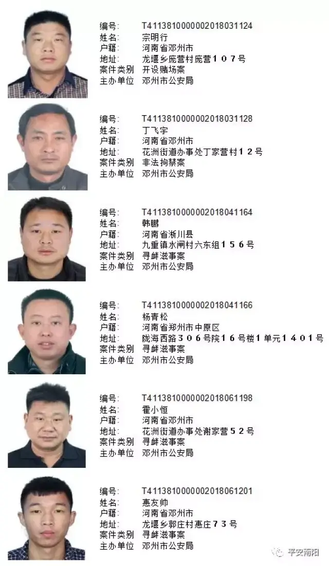 结合南阳实际,对我市上网在逃的161名涉恶逃犯实行公开通缉,敦促逃犯