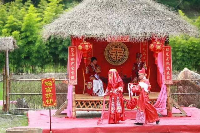 《秋·衣锦还乡》