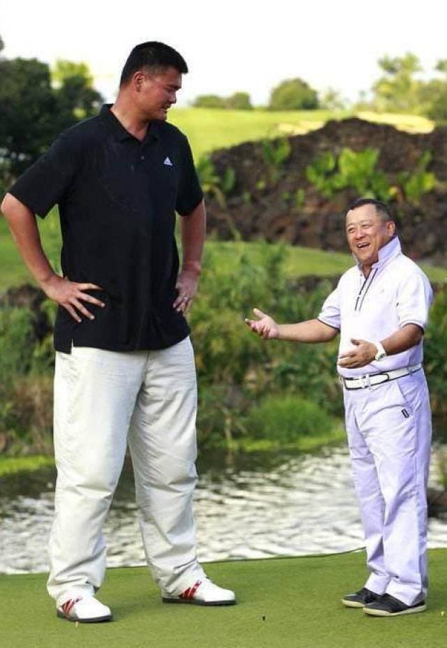 明星与姚明合照:彭于晏胜在颜值,杨幂最机智,曾志伟