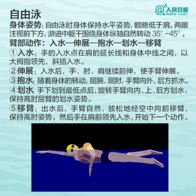 蝶泳时,手臂向内划水,类似在做扩胸运动,对胸大肌,背阔肌,腹直肌用力