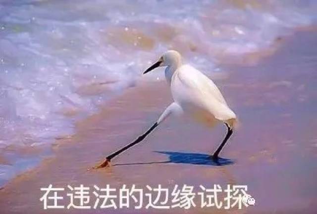 2018上半年火爆网络的流行语,伊利、娃哈哈、加多宝竟纷纷“躺枪