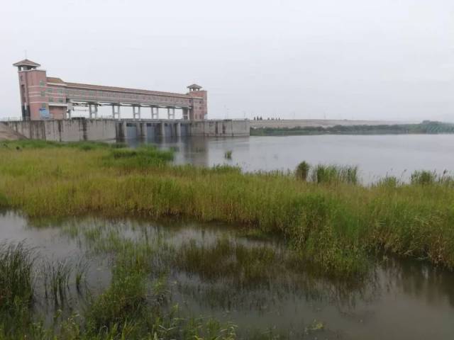 中雨再次拜访荣成,需做好田间排水