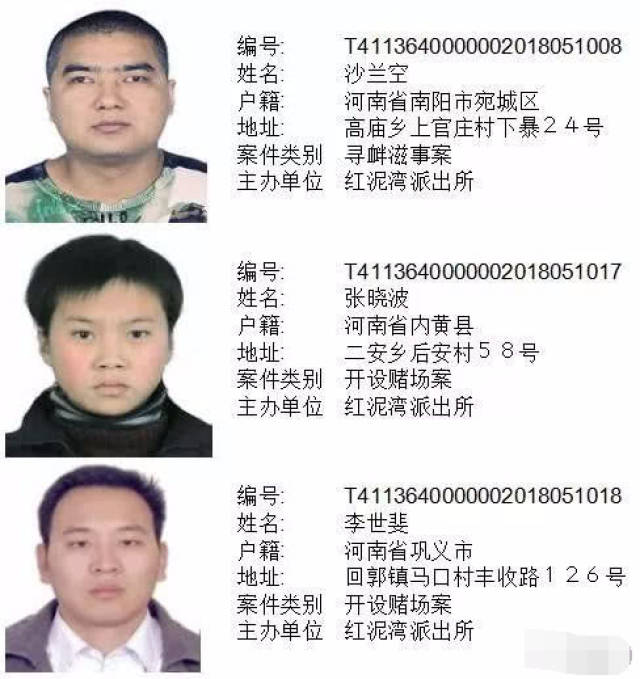 南阳市对161名网上涉恶逃犯公开通缉,检举揭发一名奖励贰仟元