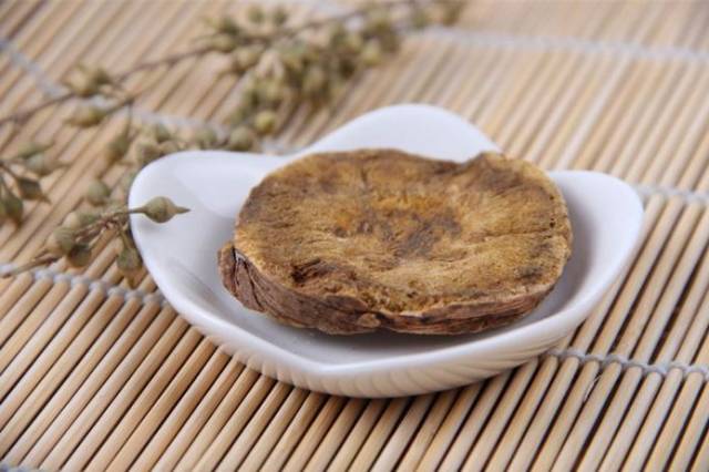 每天最少记一味中药-大黄