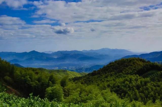 景点地址:杭州市余杭区径山镇径山古道口