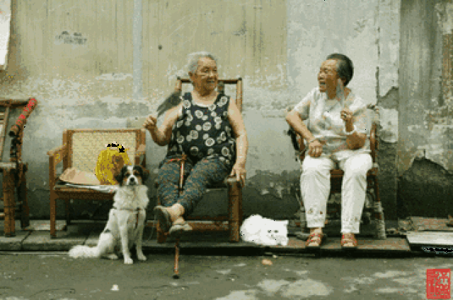 361_240gif 动态图 动图