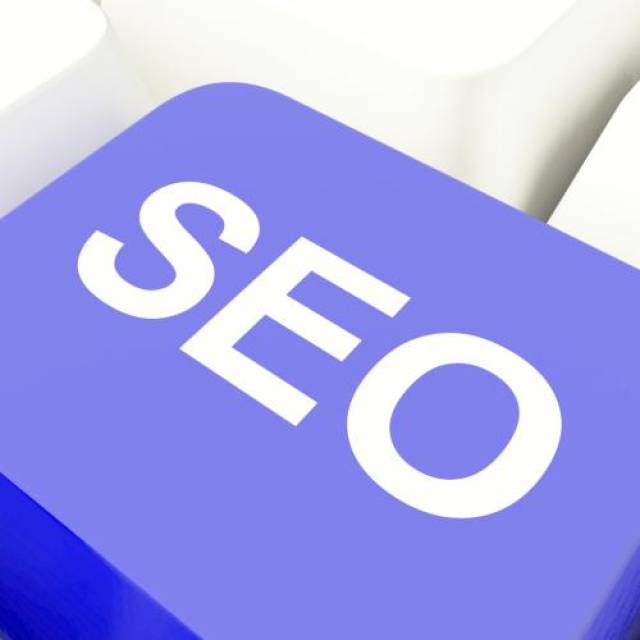 【武汉企鹅seo】新的网站快速收录教程