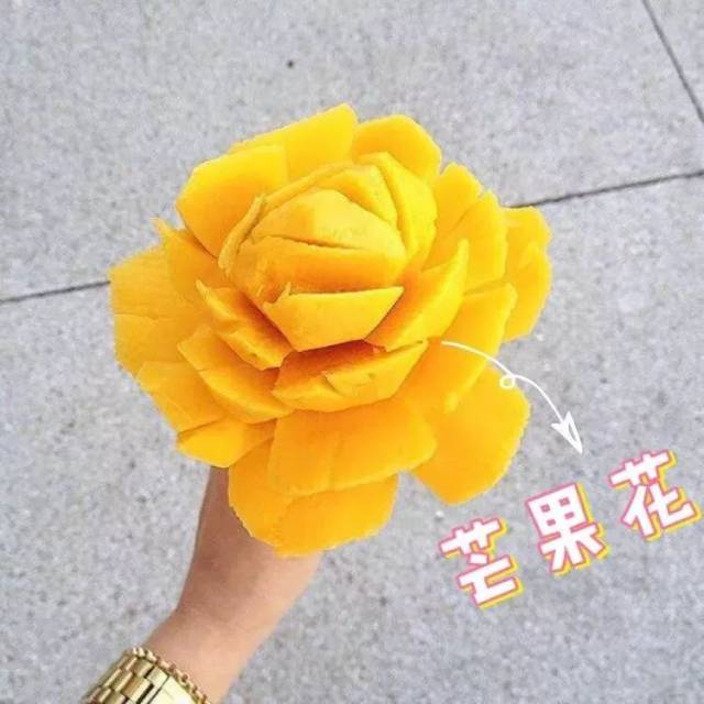 芒果 /