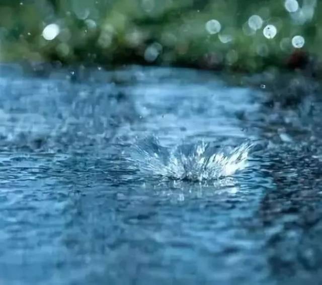 白天,全省阴天有阵雨或雷雨,雨量普遍中雨,省的中部以北以西有大雨或