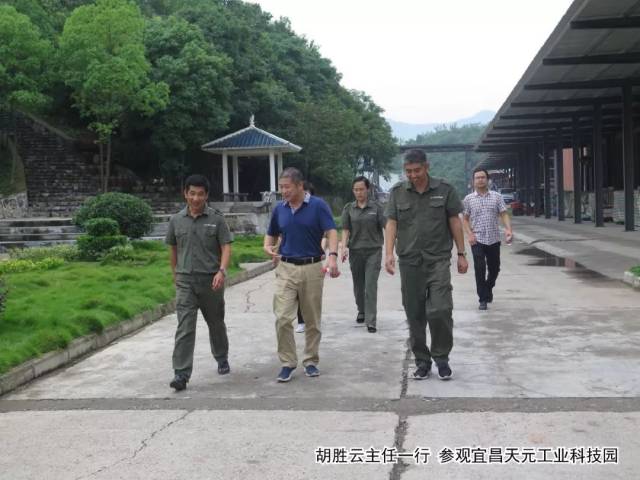 总师胡胜云在远安县人大副主任姜萍,军地办主任武步清陪同下到访天元