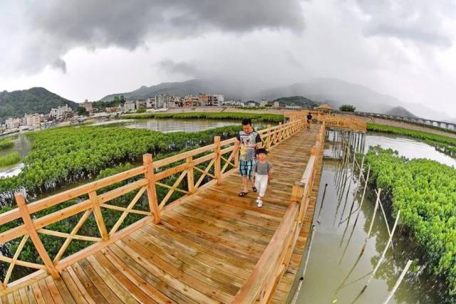 罗源湾红树林公园海上休闲栈道建成