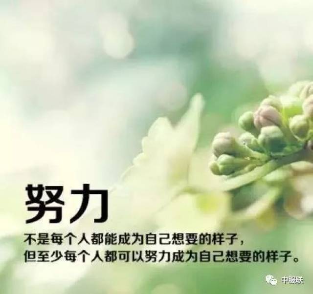 【运营】再见,上半年!加油,下半年!