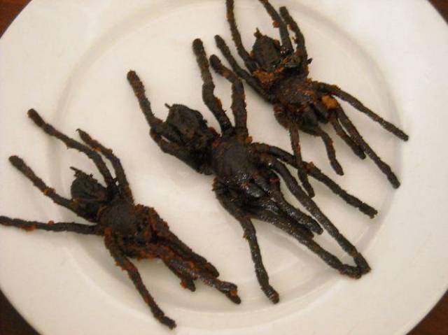 在柬埔寨,油炸蜘蛛(fried tarantulas)是非常受欢迎的小吃.