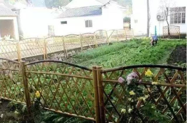 "房前屋后菜地化,菜地似绿地"